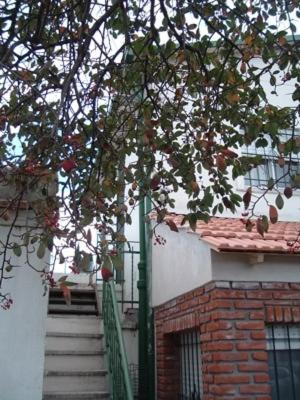 Vivienda En Altos Con Uso Exclusivo De Entrada De Auto Y Parrilla Holiday home Miramar (Buenos Aires)
